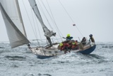 scintilla of the sea 920y whyw22 tues 750_3680yi
